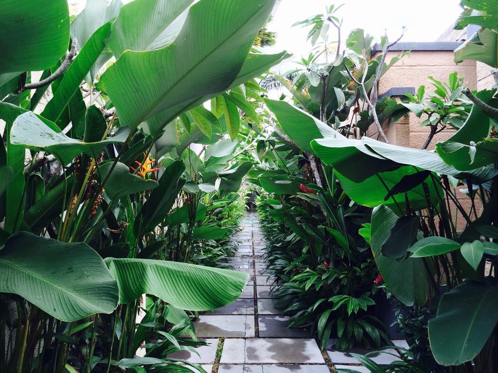 D'Alang Alang Villas Seminyak Esterno foto